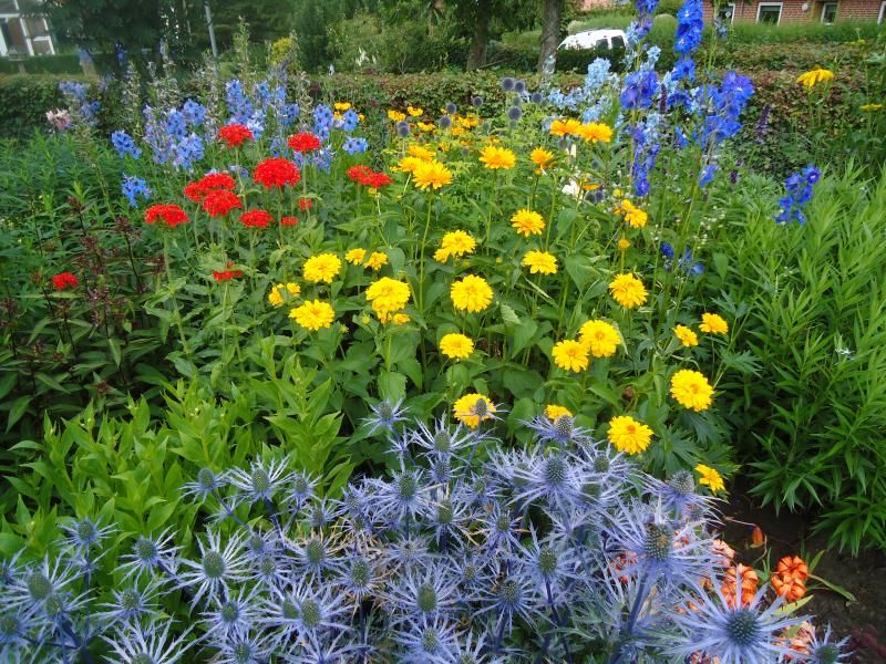 A view photo DSC05948.jpg