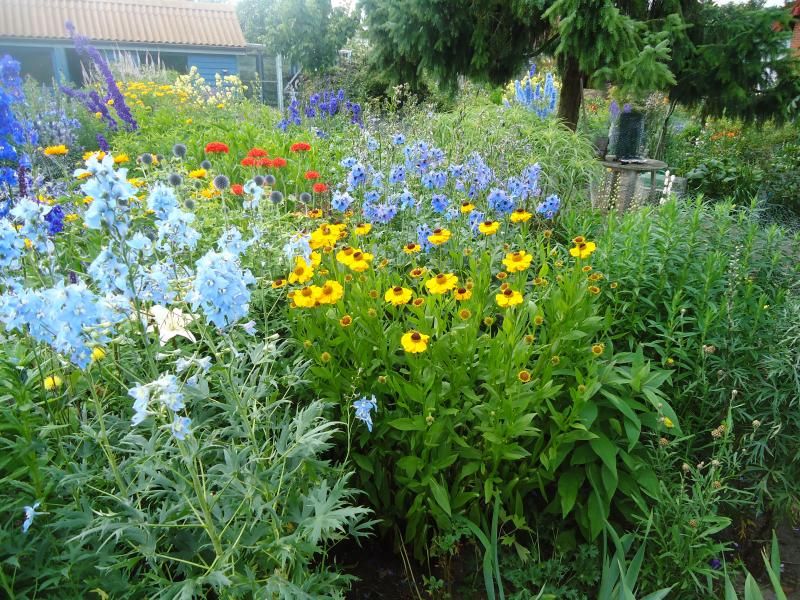 A view photo DSC05949.jpg