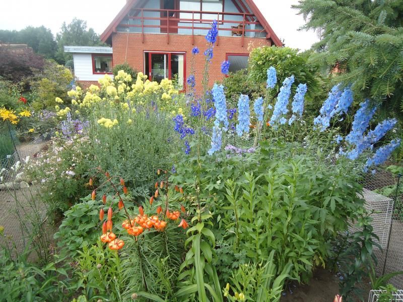 A view photo DSC05951.jpg