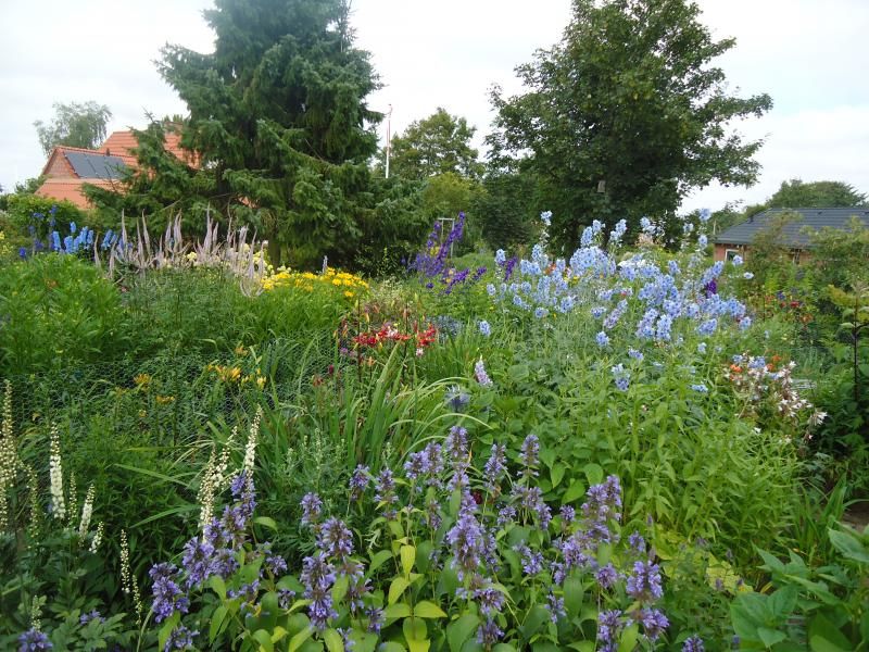 A view photo DSC05969.jpg