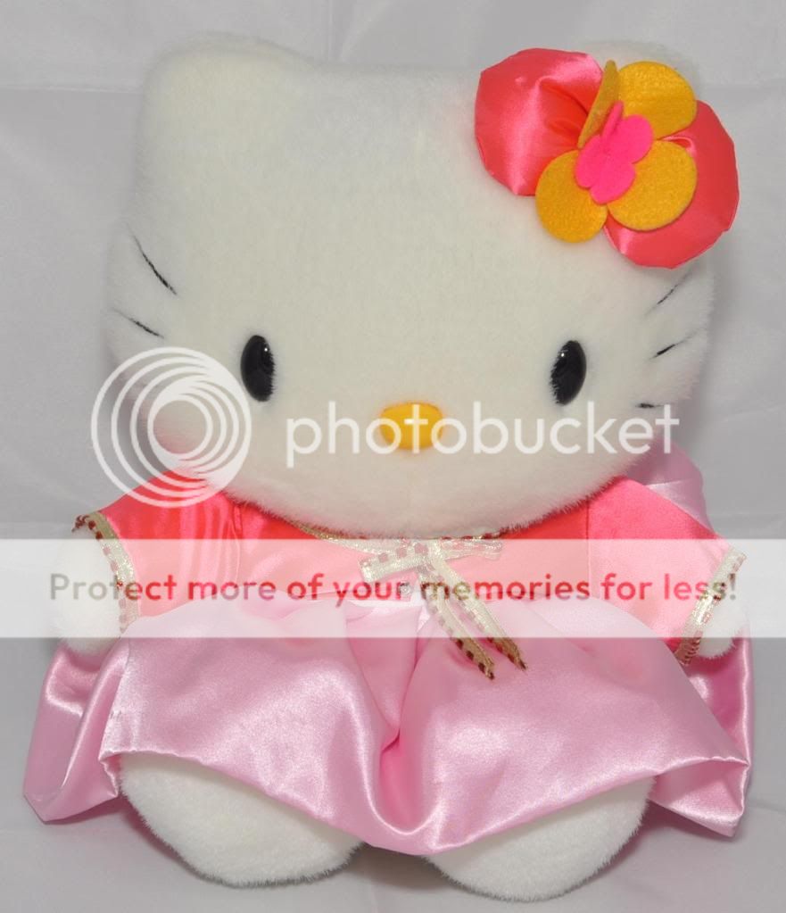 photo HelloKittyPink29x22x20a.jpg