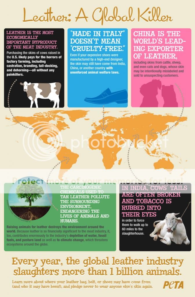  photo Leather_A_Global_Killer_Infographic-peta-v1_zps4807ae72.jpg