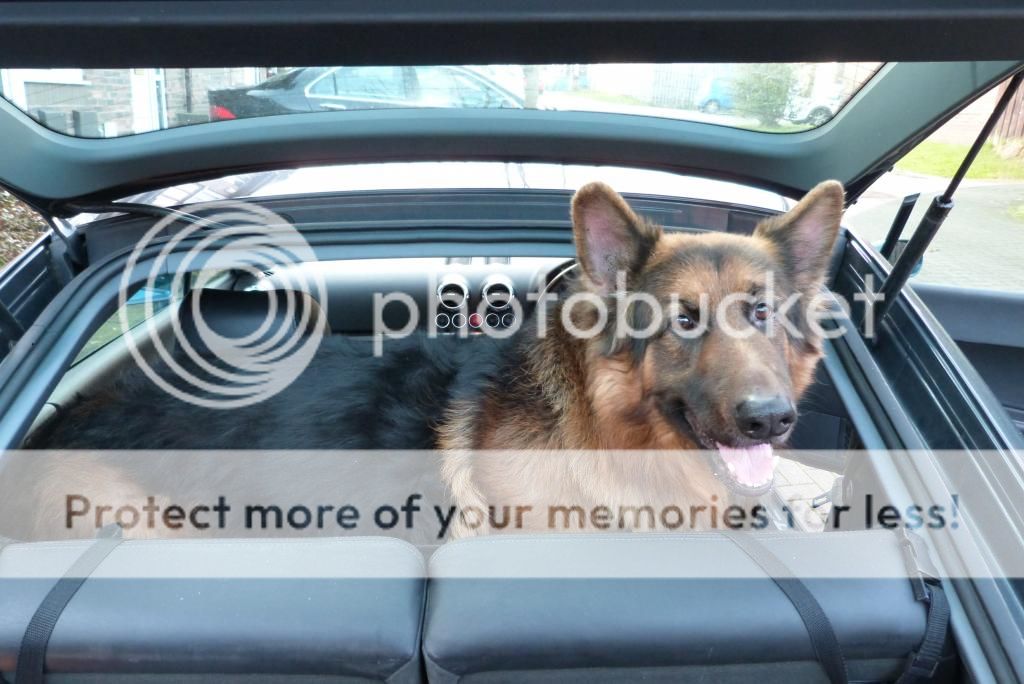 andis 4fc clipper blade