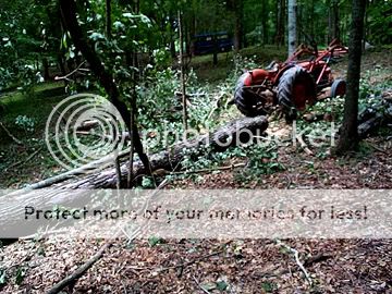 Somebody please tell me why... - Homesteading Questions