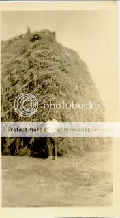 Anybody put up any amount of acreage of hay loose? - Homesteading Questions