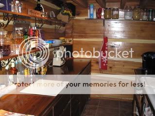 Log Finish Questions - Homesteading Questions