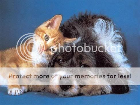 Bartok.jpg