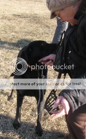 Betty_s_Bosco120131009.jpg