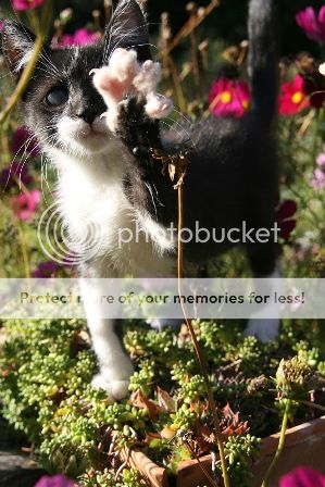 IMG_5633k.jpg
