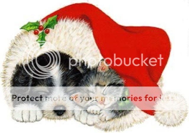 gatto_cane_natale1.jpg