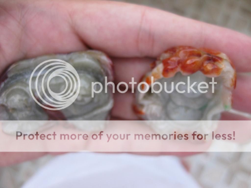 Cửa hàng đá thiên nhiên Phong thủy Thiên Hưng - 12