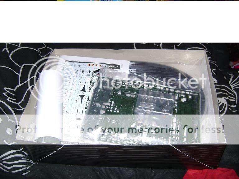 DSC01464.jpg