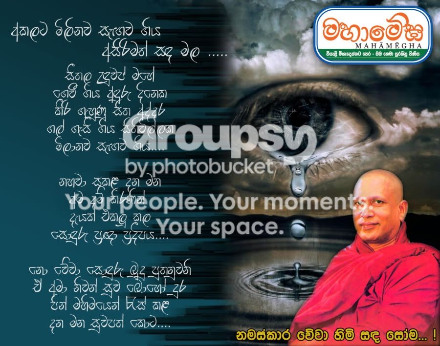 SomahimiFinal.jpg